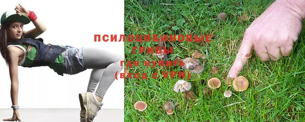 прущая мука Баксан