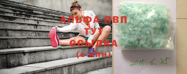 сатива Пестово